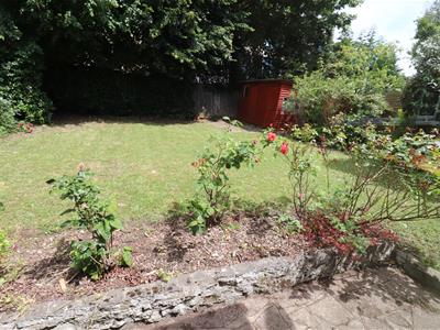 Picture 2